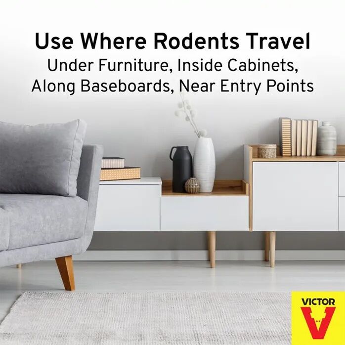 Victor Tin Cat Mouse Trap with Window