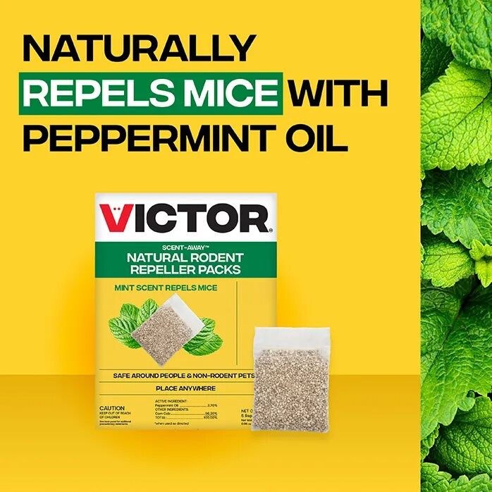Victor Traps Scent Away Rodent Repellant