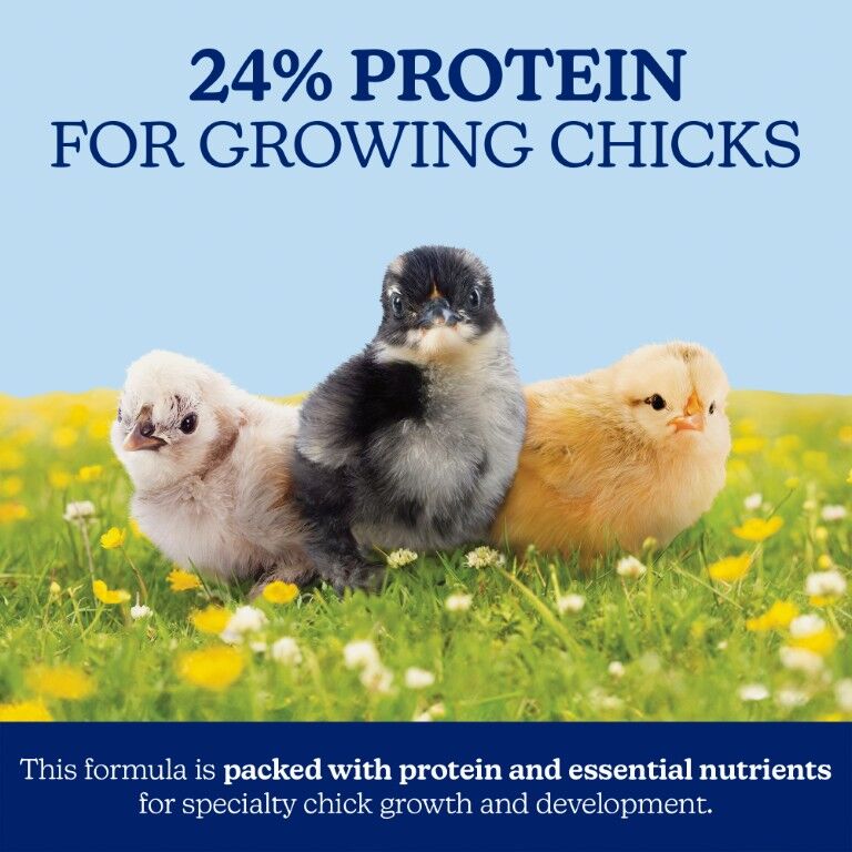 Nutrena Naturewise Silkie & Ornamental Starter Grower 24% Protein Micro Clean Crumb, 7-Lb