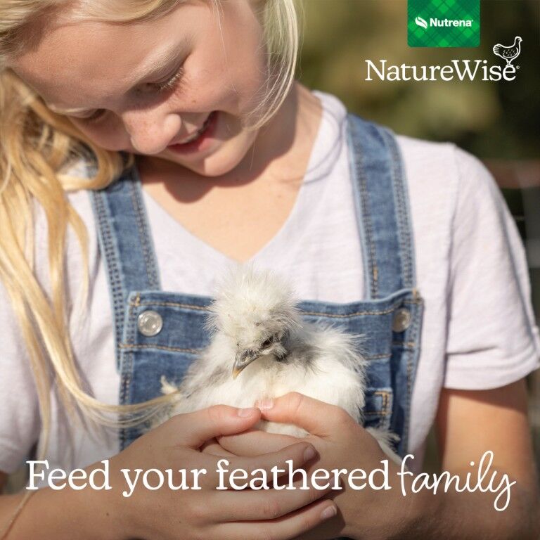 Nutrena Naturewise Silkie & Ornamental Starter Grower 24% Protein Micro Clean Crumb, 7-Lb
