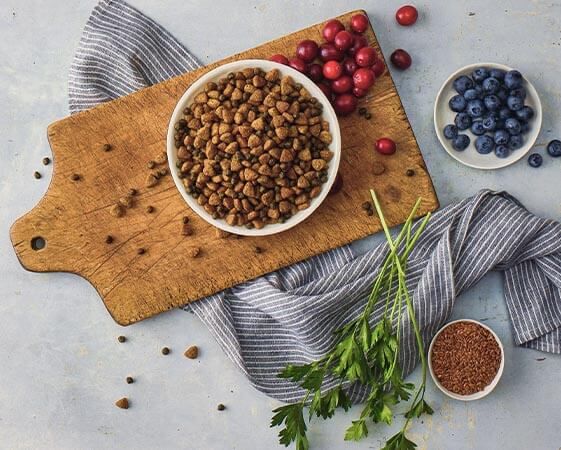 Blue Buffalo Rocky Mountain Recipe Adult Dog Bison with Wholesome Grains Recipe Dog Food, 28-Lb