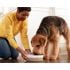 Blue Buffalo Wilderness Rocky Mountain Adult Dog Food with Red Meat, 28-Lb