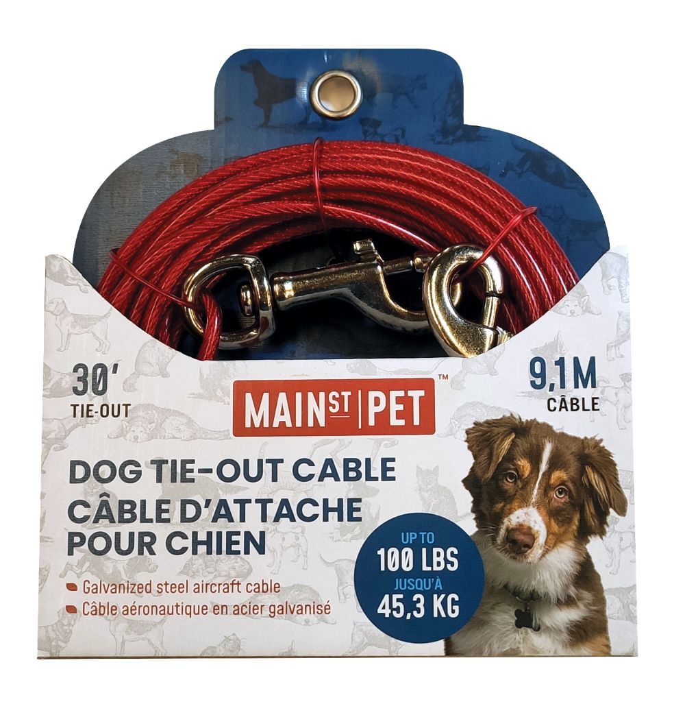 Main Pet 30-Ft Dog Tie-Out Cable Toys Main C-A-L Ranch