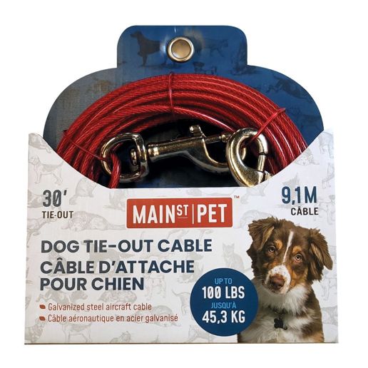 Main Pet 30-Ft Dog Tie-Out Cable Toys Main C-A-L Ranch