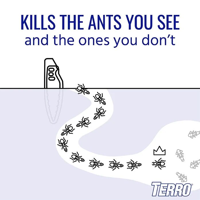 TERRO Outdoor Liquid Ant Bait Stakes, 8-Pk