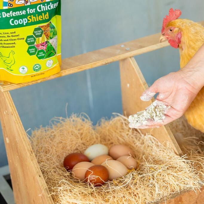 Buff Clucks CoopShield Herbal Pest Defense for Chickens, 12-Oz