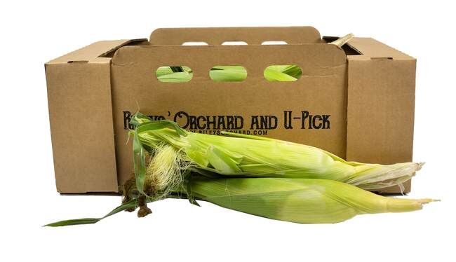 Rileys' Orchard Montauk Bi-Color Sweet Corn, 4-Dozen Ears per Box