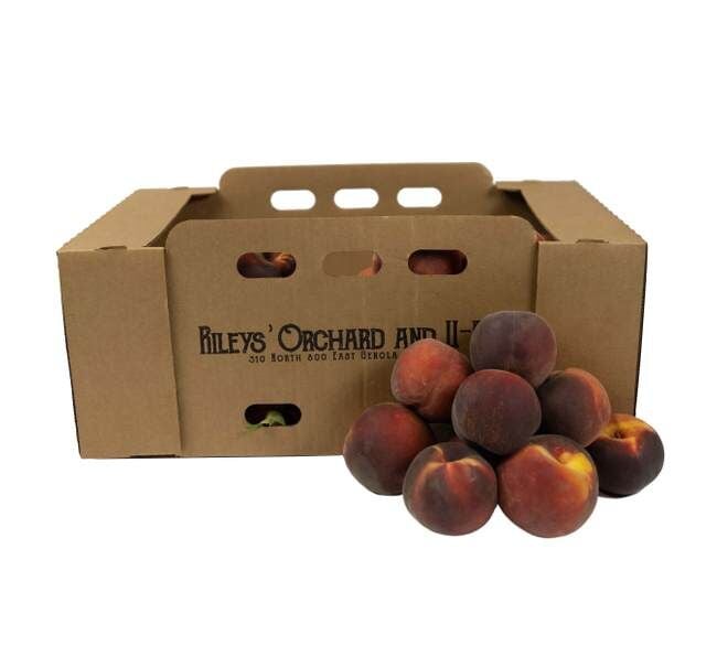 Rileys' Orchard Yellow Freestone Peach Variety, 20-lb Box