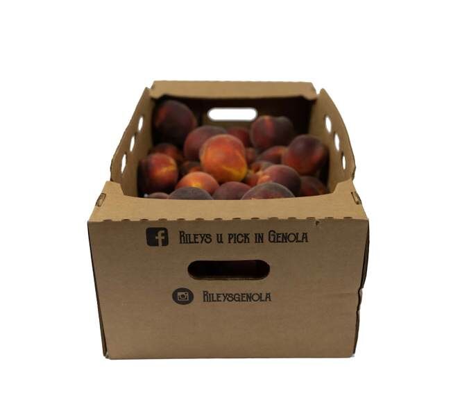 Rileys' Orchard Yellow Freestone Peach Variety, 20-lb Box