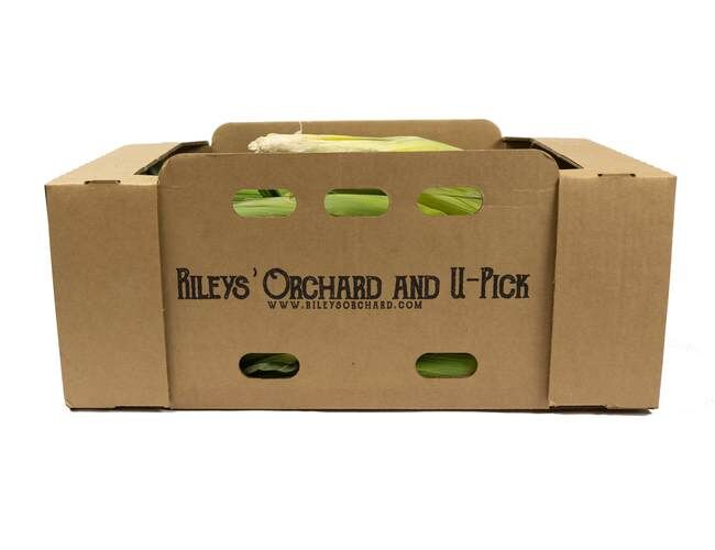 Rileys' Orchard Montauk Bi-Color Sweet Corn, 1-Dozen Ears per Box