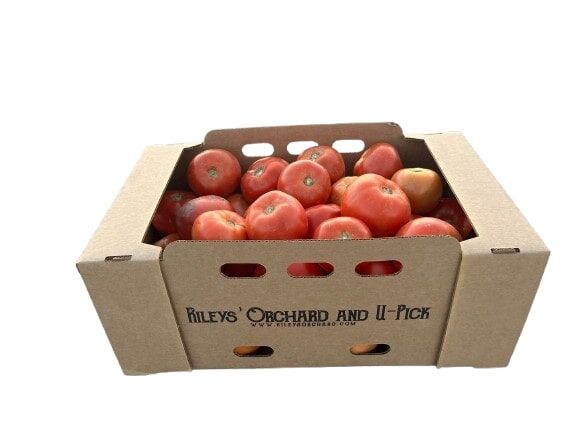 Rileys' Orchard Beefsteak Tomatoes Variety, 20-lb Box