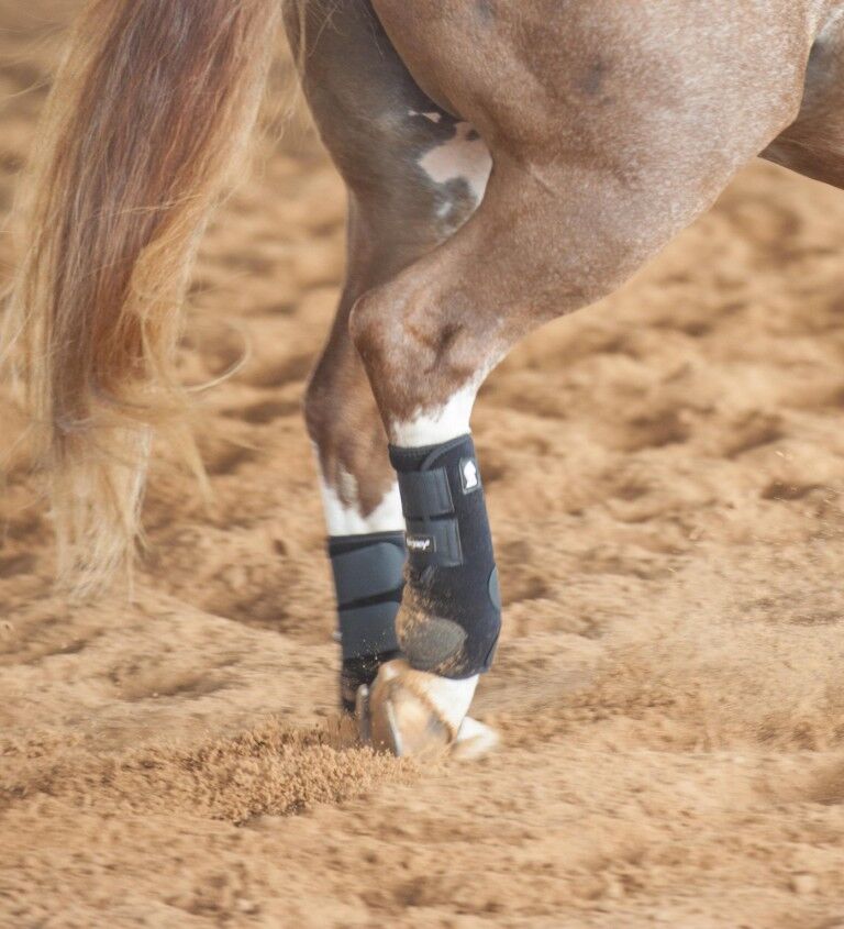 Classic Equine Black Large Legacy2 Support Hind Boots