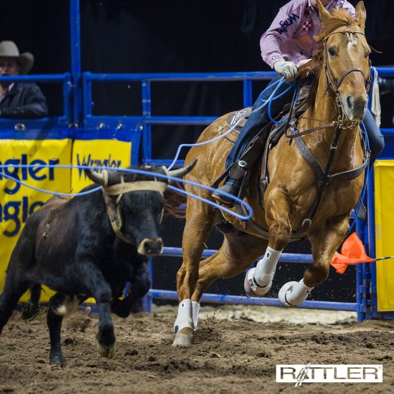 Rattler GT4 Head Team Rope, 30-Ft