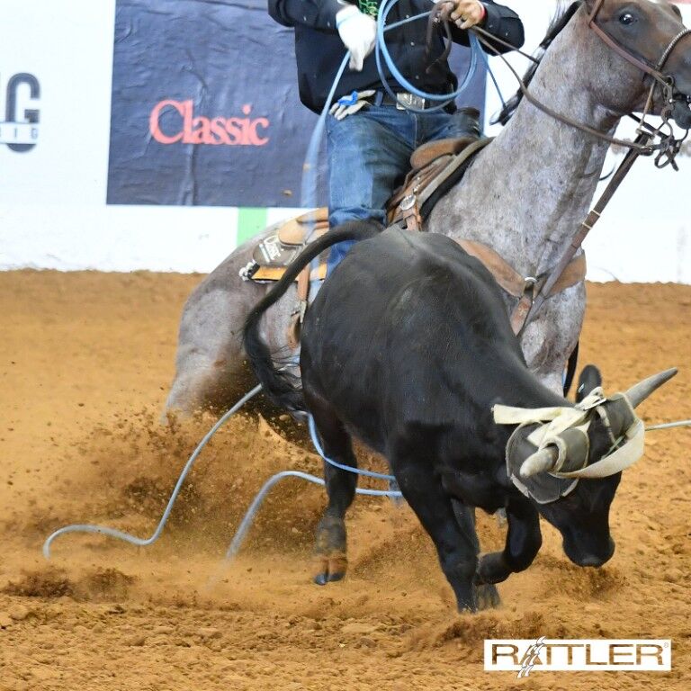 Rattler GT4 Lite Team Heel Hard Medium Rope, 35-Ft