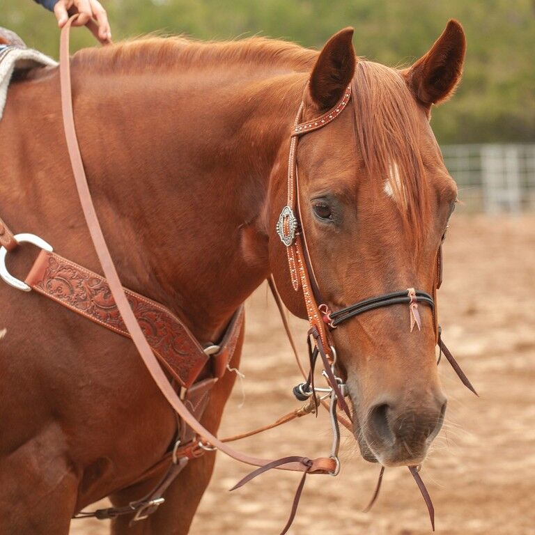 Martin Saddlery Double Rope Noseband