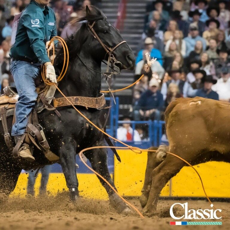 Classic Rope NV4 Medium Soft Team Rope, 35-Ft Heel