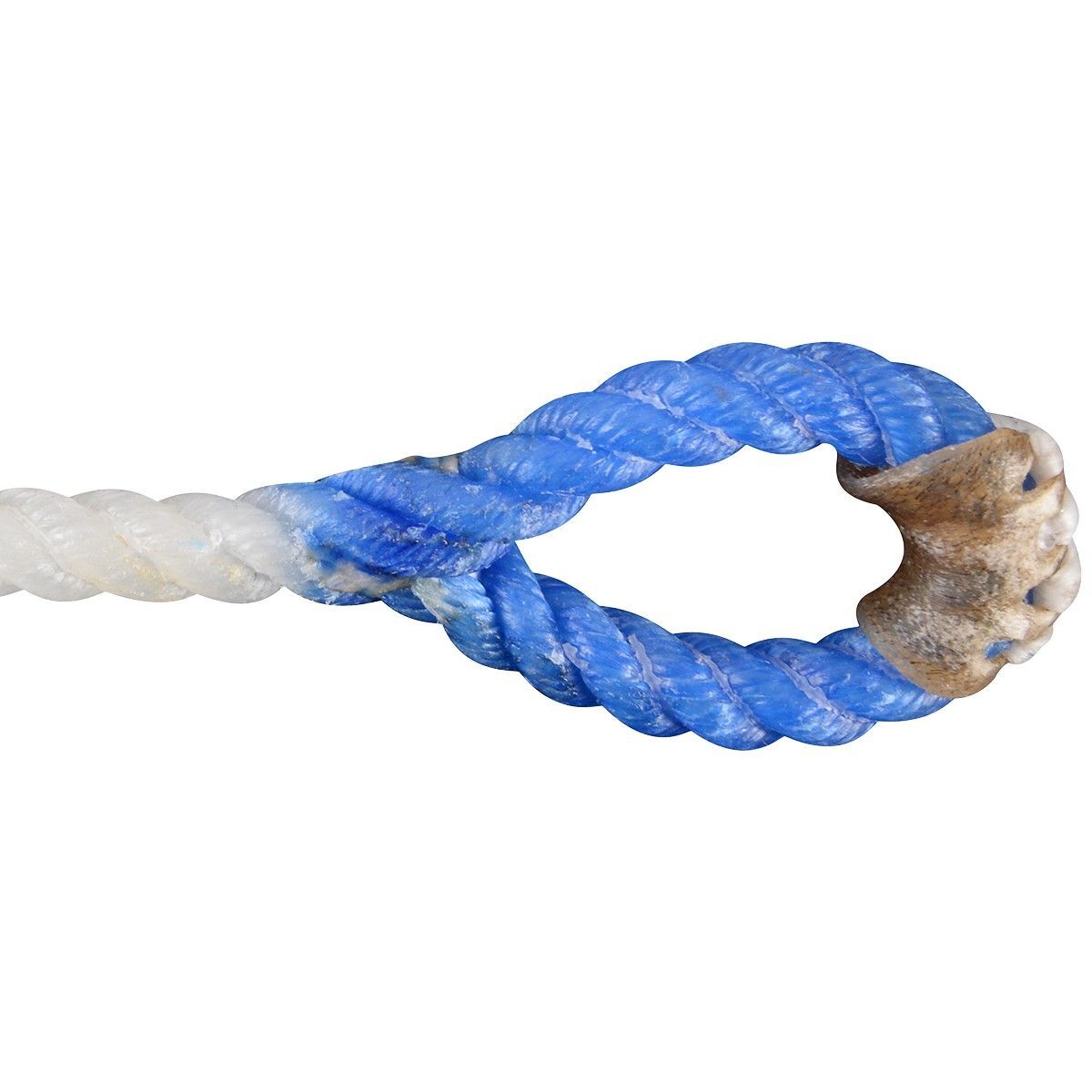 Rattler Racer Calf String Blue Eye