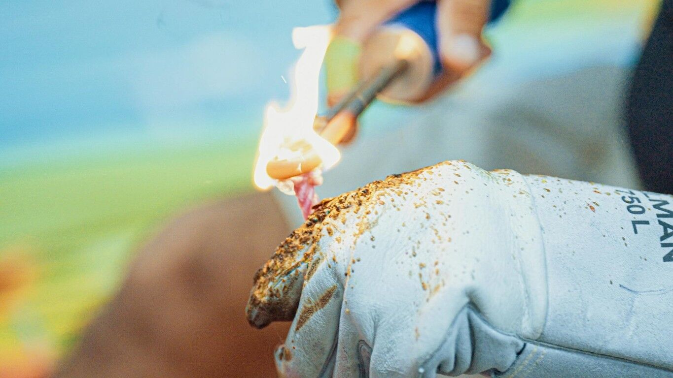 Rattler Ropes Triton4 Team Rope, 30-Ft Head