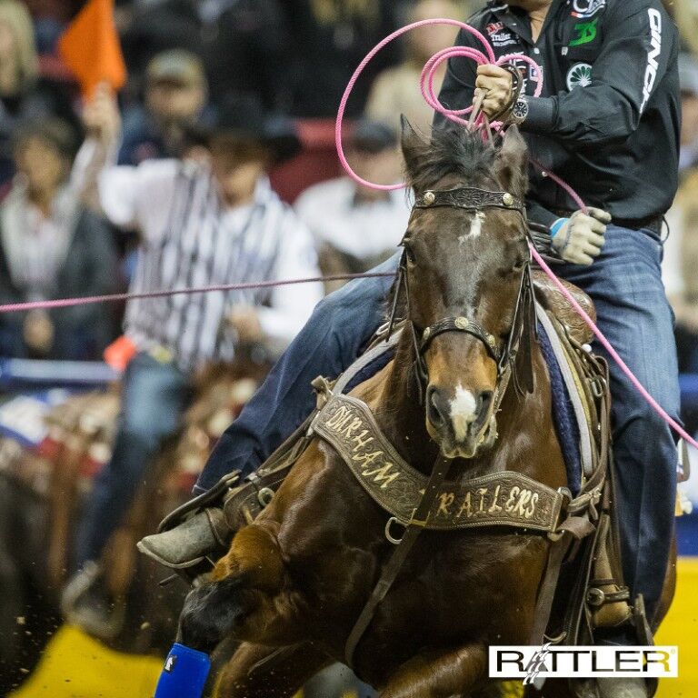 Rattler Ropes Triton4 Team Rope, 30-Ft Head