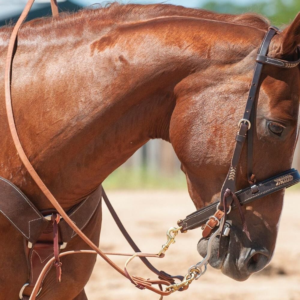 Martin Saddlery Walt Woodard Roping Rein Thick Tied Snap Ends, 5/8-In