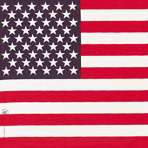 Carolina Creative American Flag Bandana, 22-In