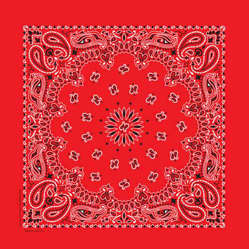 Carolina Creative Traditional Paisley Bandana
