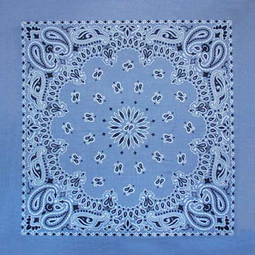Carolina Creative Traditional Paisley Bandana