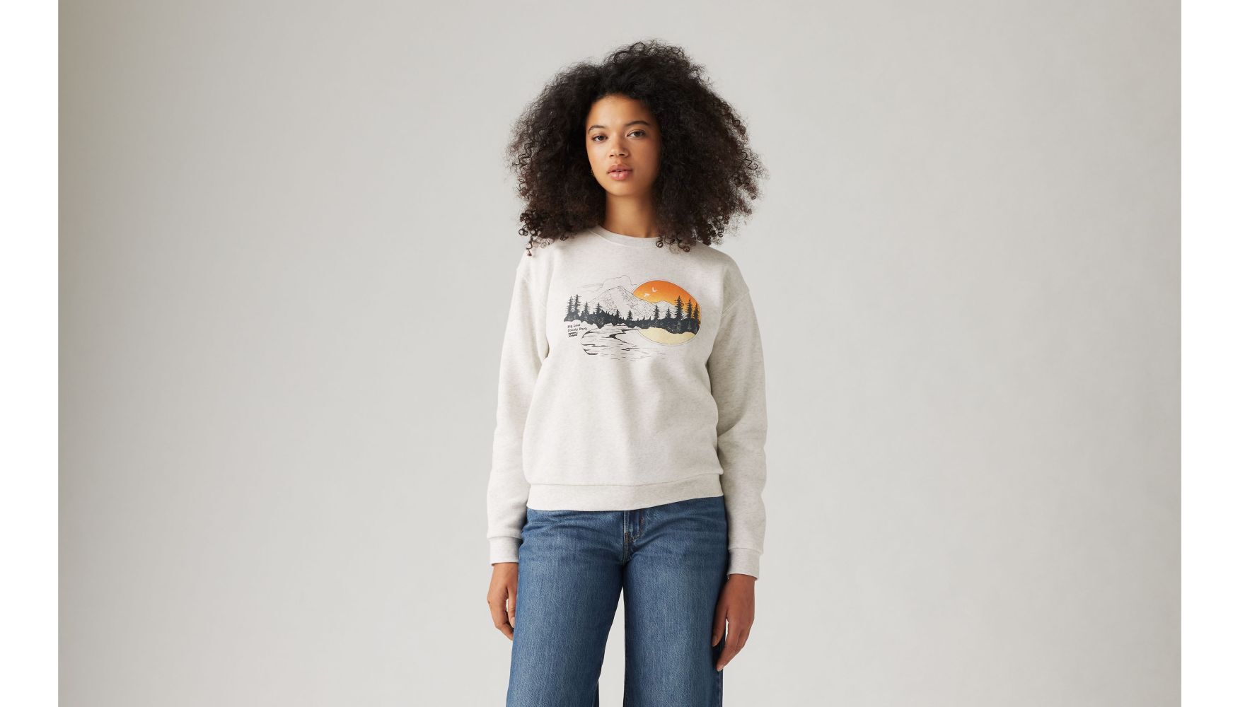 Levi's Women's Graphic Everyday Crew Sweater