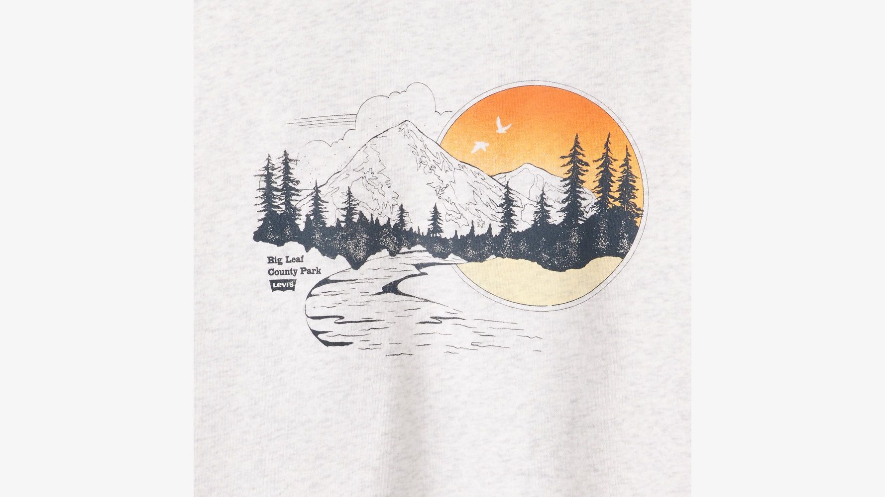 Levi's Women's Graphic Everyday Crew Sweater