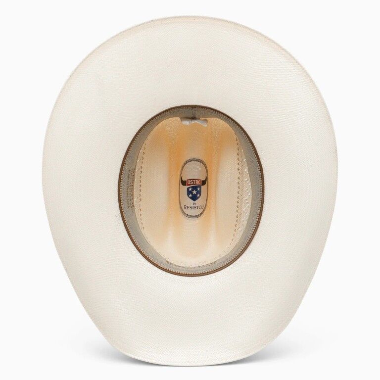 Resistol Men's 20X Wildfire BA Profile USTRC Cowboy Hat