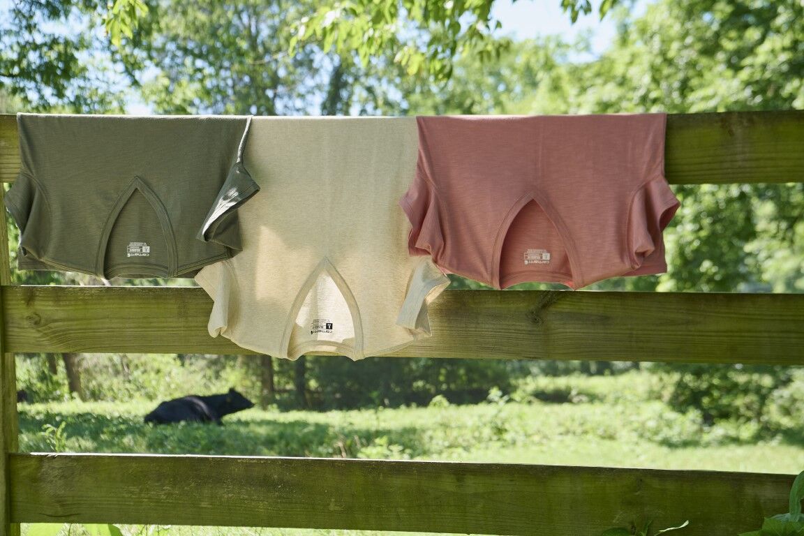 Carhartt Women's TENCEL Fiber Series Relaxed Fit Short Sleeve V-Neck T-Shirt