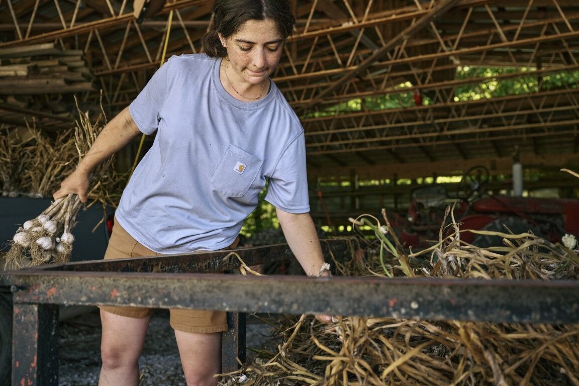 Carhartt Women's TENCEL Fiber Series Loose Fit Short Sleeve Crewneck T-Shirt