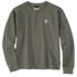 Carhartt Women's Tencel Fiber Series Relaxed Fit French Terry Crewneck Sweatshirt in Dusty Olive