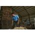 Carhartt Men's Carhartt Force Relaxed Fit Short Sleeve Pocket T-Shirt in Engineer Blue Heather