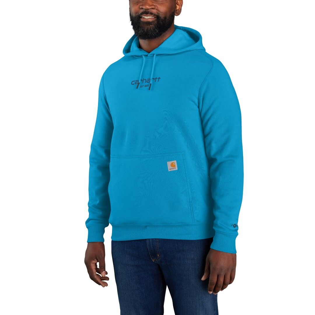 Carhartt Men's Force Relaxed Fit Lightweight Logo Graphic Sweatshirt