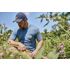 Carhartt Men's Relaxed Fit Lightweight Short Sleeve Pocket C Graphic T-Shirt in Storm Blue