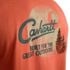 Carhartt Men's Relaxed Fit Lightweight Short Sleeve Pocket Camp Graphic T-Shirt in Saddle Red