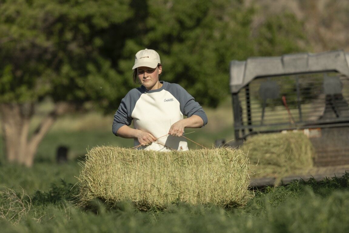 Carhartt Women's Sawyer Crewneck Sweatshirt