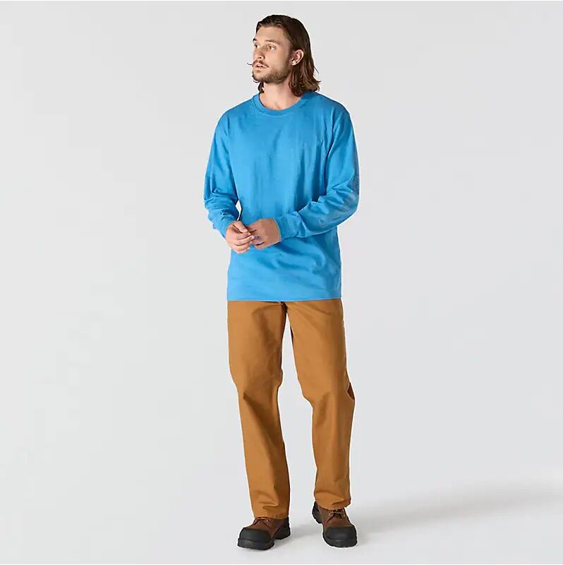 Carhartt Men's Loose Fit Heavyweight Long Sleeve Logo Sleeve Graphic T-Shirt