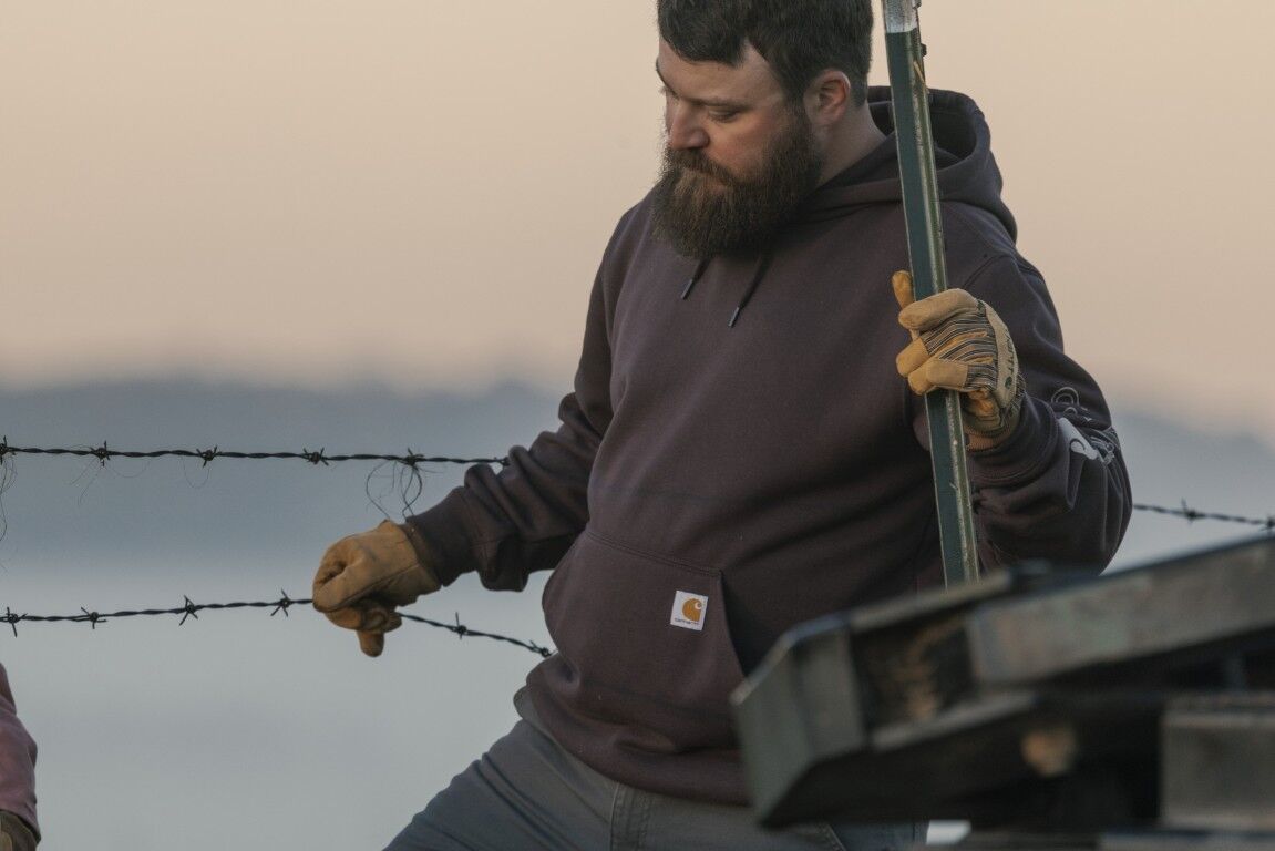 Carhartt Men's Loose Fit Midweight Logo Sleeve Graphic Hoodie