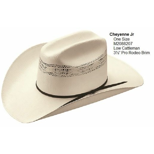 Master Hatters Youth Hat Straw Bronco in Beige