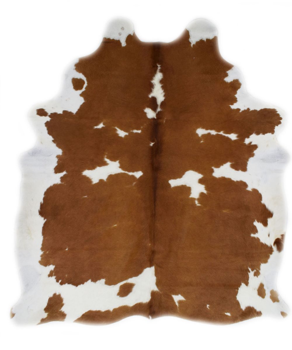 Forever Green Art Brown and White Cowhide Rug
