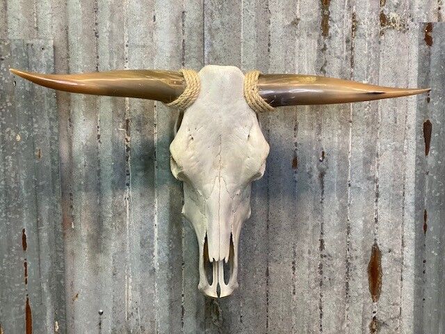 Forever Green Art Long Horn Skull Empty, 33-In To 40-In