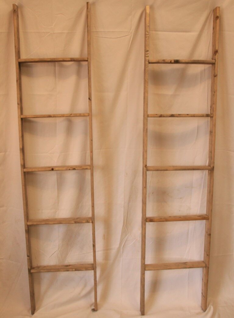 Forever Green Art Grey Lightweight Ladder, 5-Ft X 16.65-In
