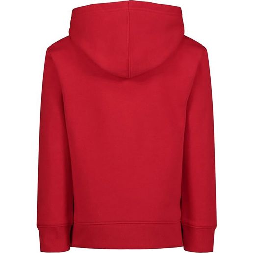 Under Armour Toddler Boy's Hoodie in Red