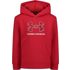 Under Armour Toddler Boy's Hoodie in Red