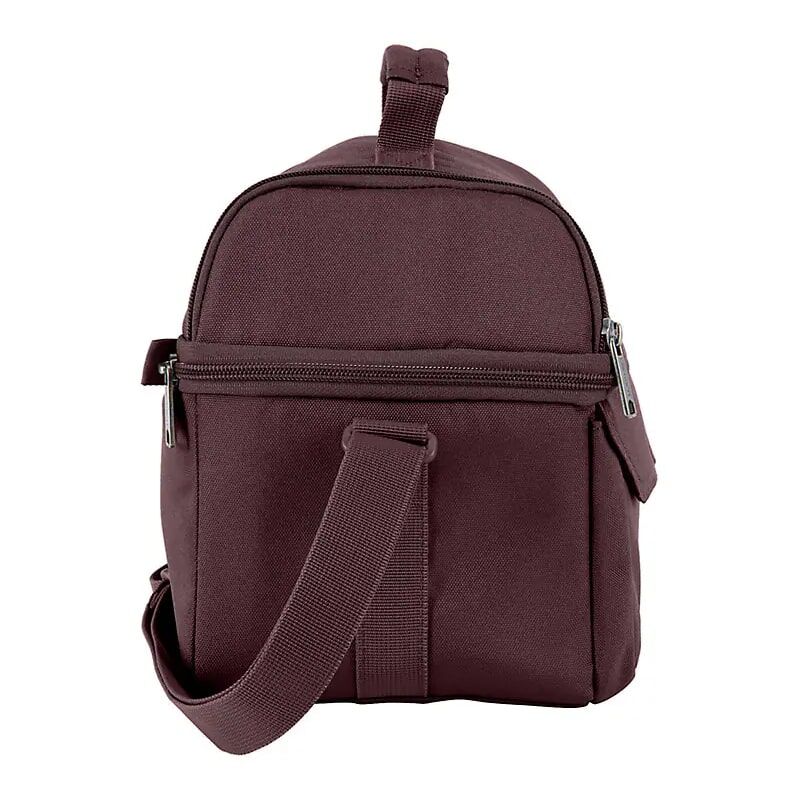 Carhartt Insulated 12 Can Two Compartment Lunch Cooler in Port