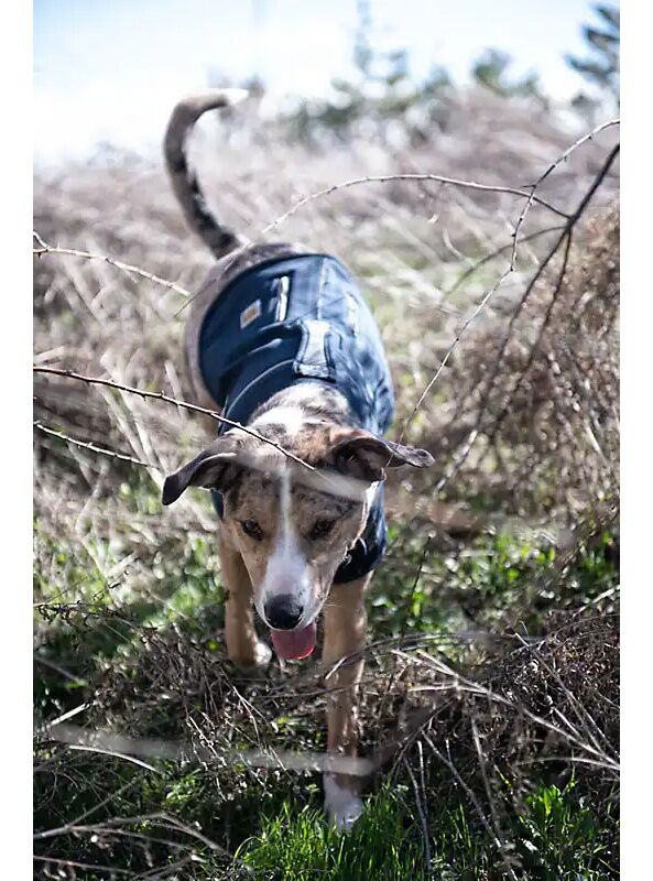 Carhartt Quick Duck Classic Dark Fleece-Lined Dog Jac, Size-SM