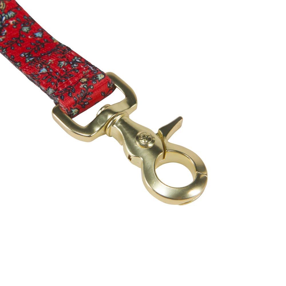 Hooey Nomad Western Floral Dog Leash