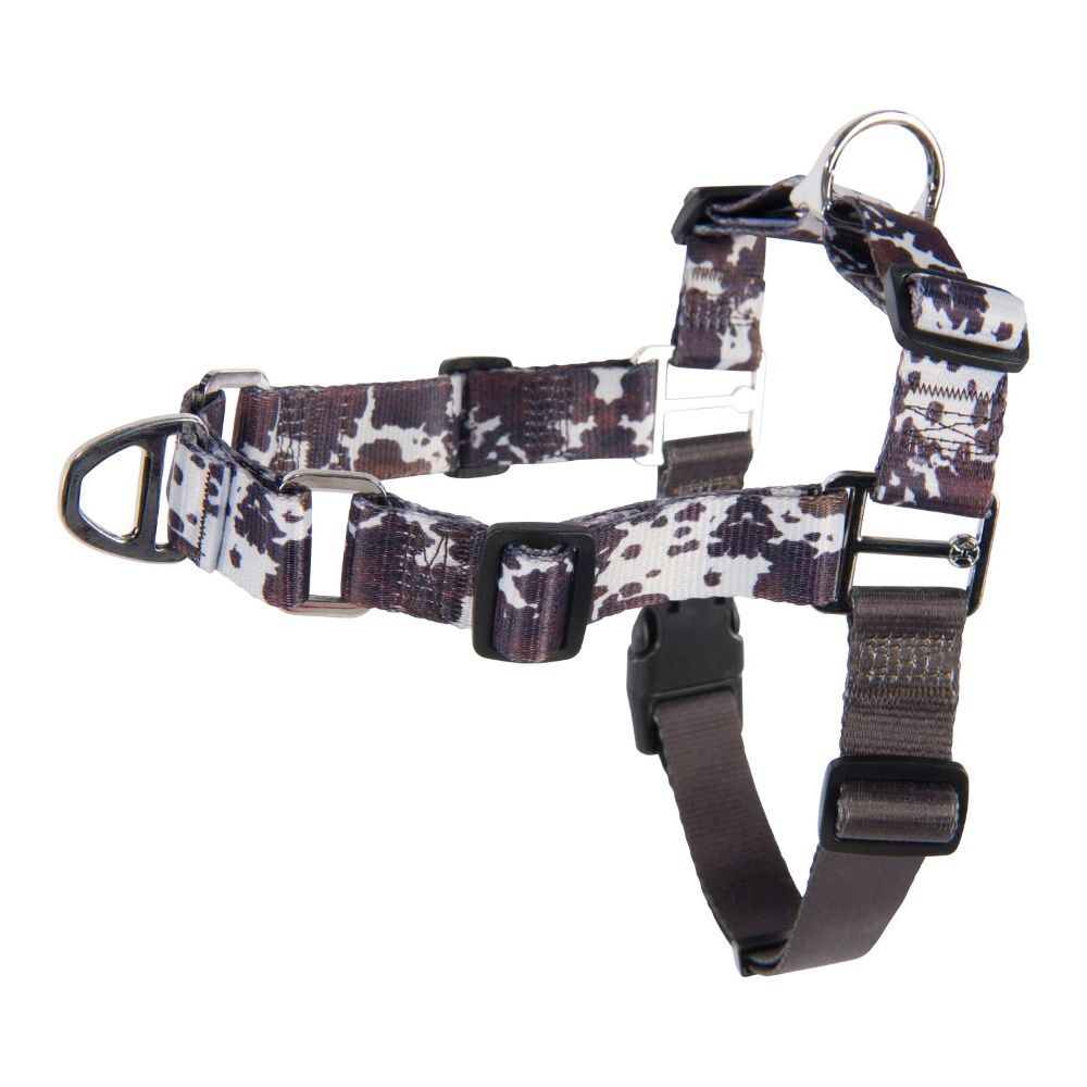 Hooey Small Just Cow Nomad Walking Harness